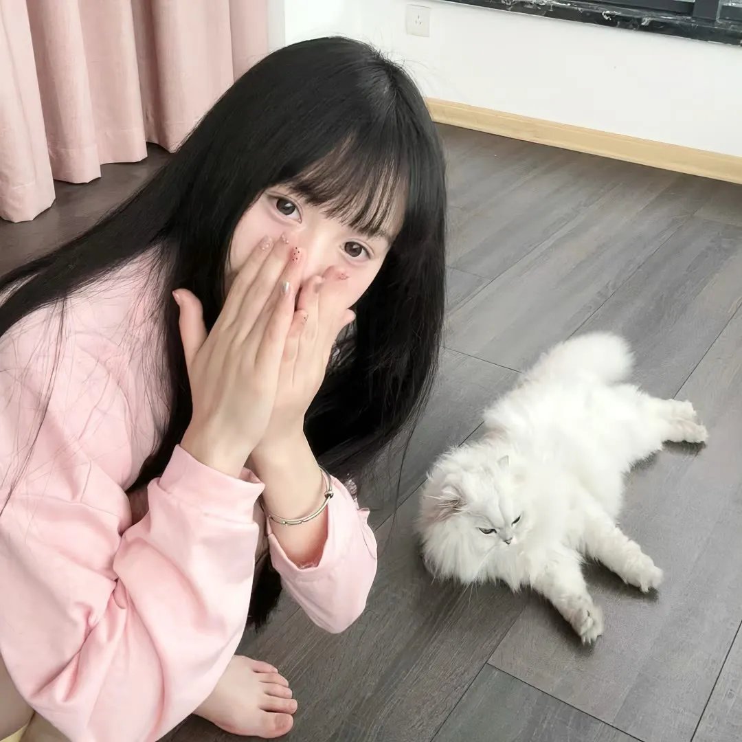青楼红杏